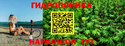 гашик Старая Купавна